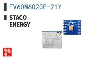 FV60M6020E-21Y ͼƬ